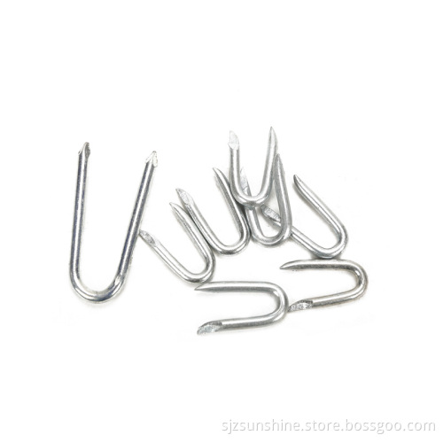 1.6inch/2inch Galvanized U Type Barbed Wire Fence Nails and Staples
